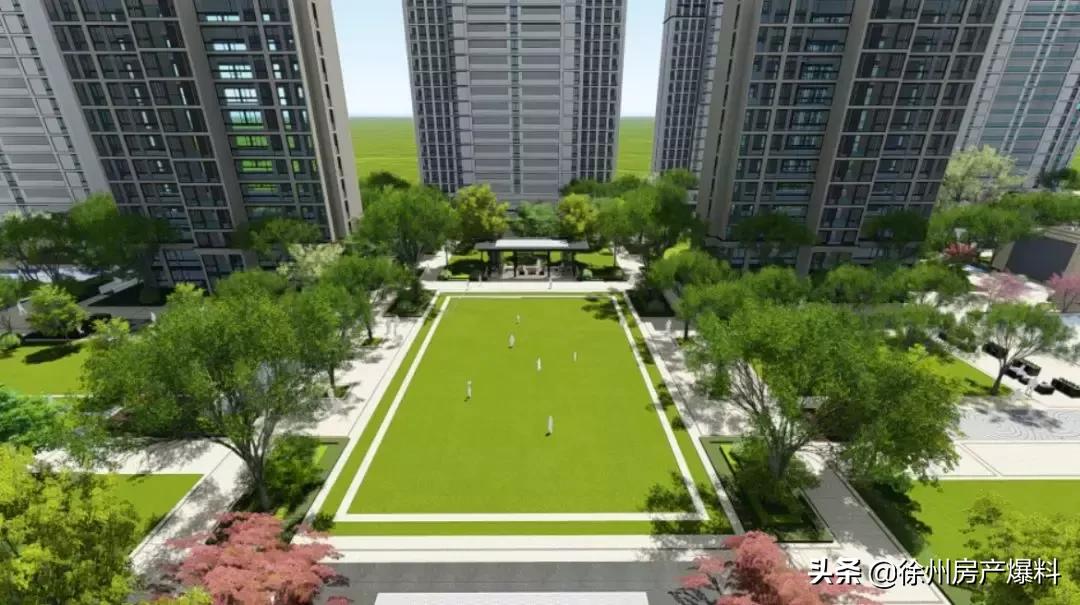 燃情足球季,苏宁足球青训