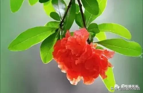 《家庭兴旺歌》《和谐歌》《夫妻歌》太绝了！句句精辟