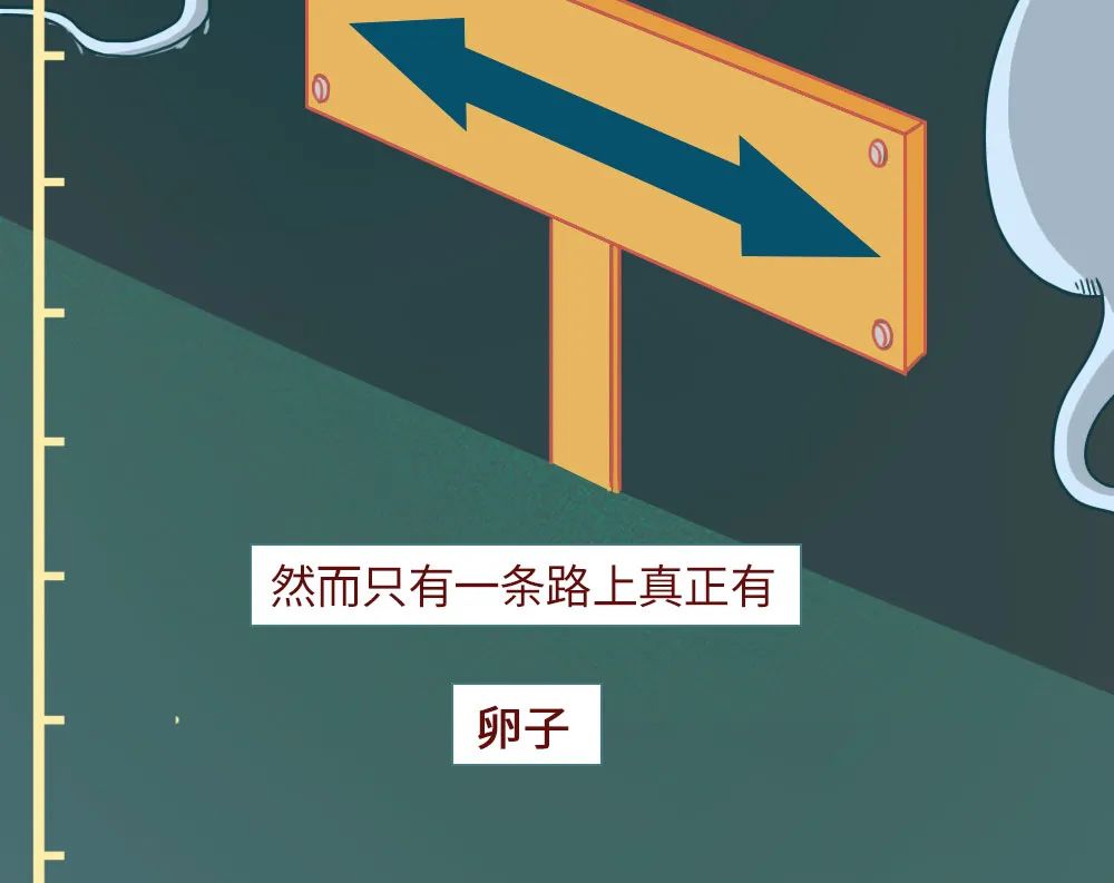 精子进入人体24小时变化,男性精子在体内存活时间