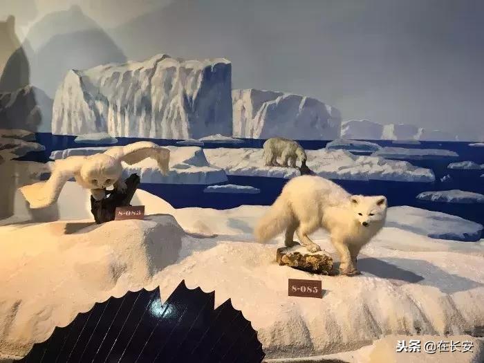 西安周边亲子游玩好去处推荐,西安儿童游乐去处推荐