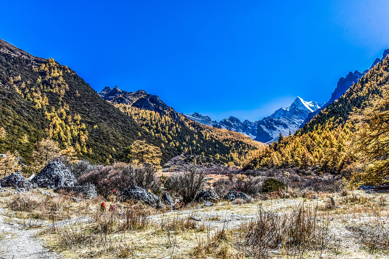 四川甘孜的亚丁稻城,四川稻城亚丁蓝色星球上的净土