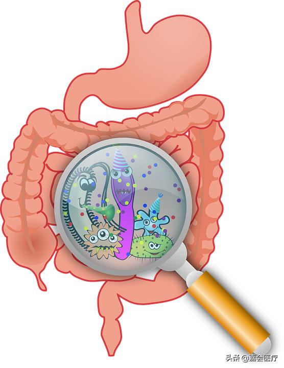 为什么吃冰激凌会引起细菌感染,吃了感染细菌的冰淇淋怎么办