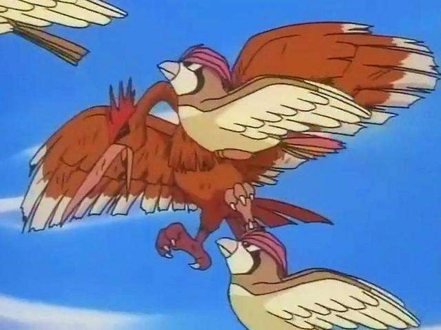 小智没有收服的火系御三家,小智没有收服的宝可梦