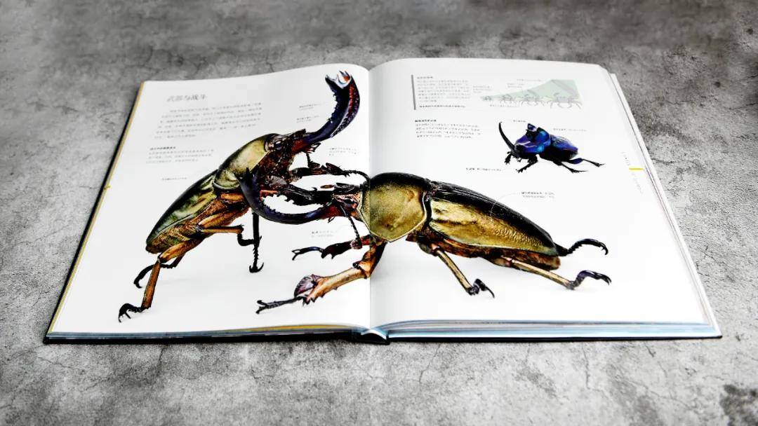 揭秘动物世界的“冷知识”,动物世界中的奇妙之处