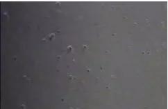 锂电池涂布过程注意事项,锂电池正负极涂布方式