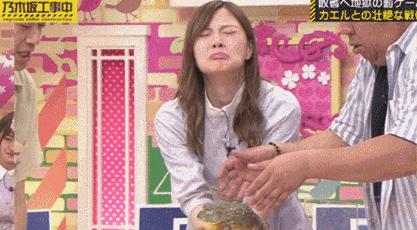 白石麻衣毕业视频大全,白石麻衣在日本演艺界地位