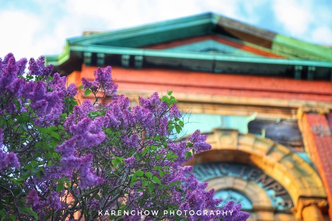 加拿大小众旅游目的地,加拿大纽芬兰自驾旅游