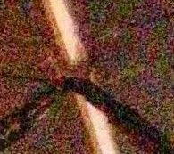 手机拍夜景用什么模式好,手机专业模式拍夜景