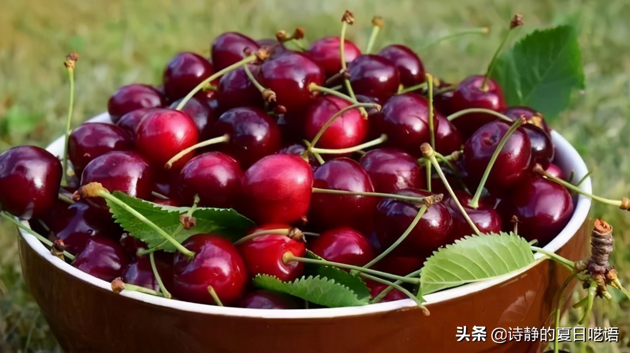 拒绝学越南！智利够意思，只给中国下订单。网友：某国脸红了吧？