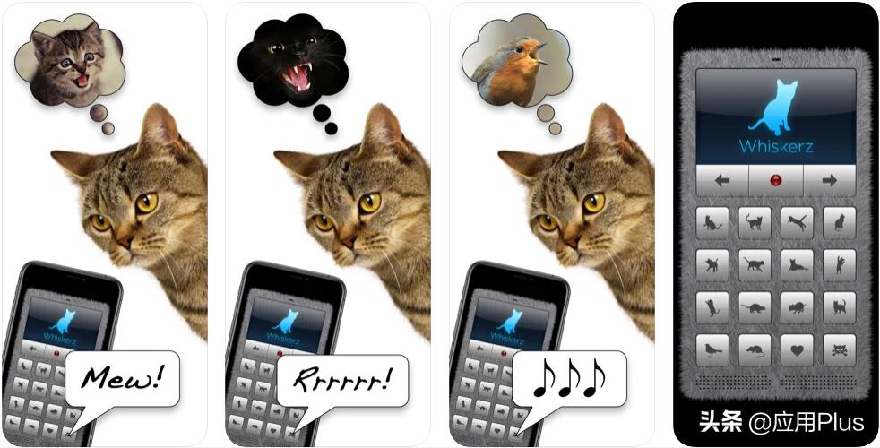 推荐这些实用但冷门的软件,冷门而有趣的app