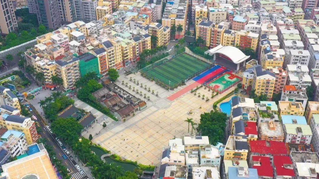 理论中心组进行集体学习,理论学习中心组集体学习计划