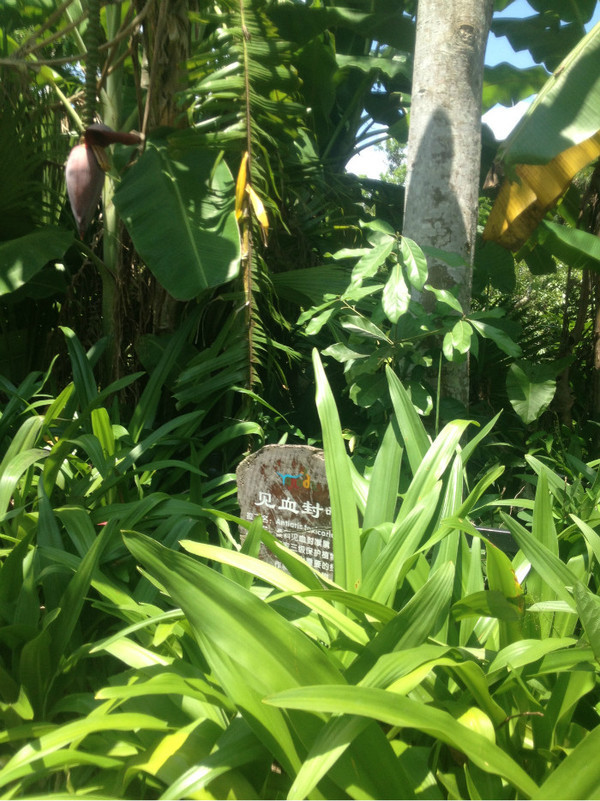 三亚自由行旅游攻略超详细哦,三亚旅游自由行全攻略