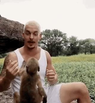 放弃百万年薪，去非洲撸猫？长腿版小李子引63w人舔屏：看我看我