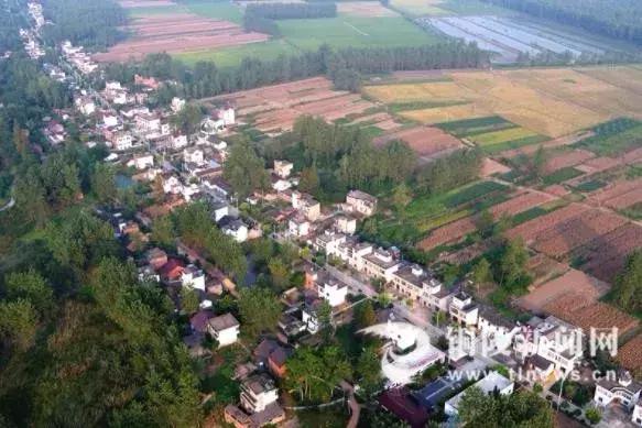 一分钟知晓天下事台词,一分钟知晓天下事2020