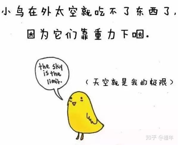 想象中不一样的动物冷知识,悲伤的动物视频