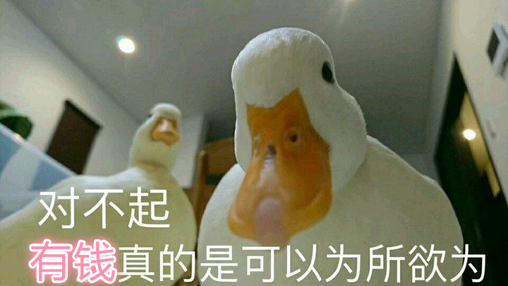 双12又双叒叕剁手了吗？来看看8090后小时候最贵的几款动漫周边