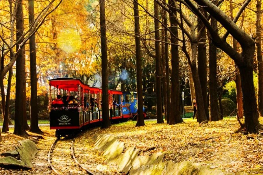 上海人游上海，这51个地方才不“踩雷”！