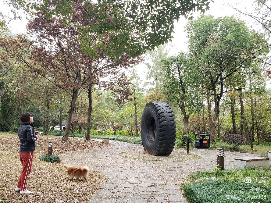 绝美西溪,西溪南冬季景色