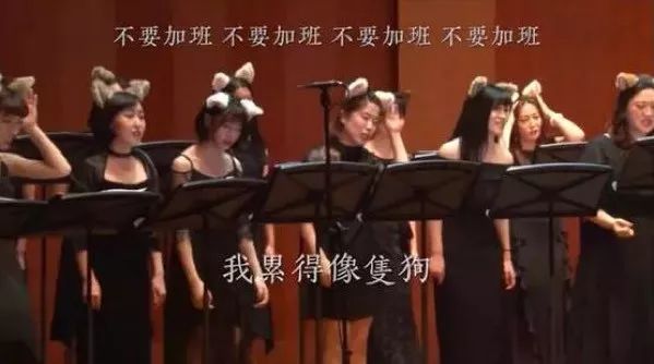 舔狗日常论一个舔狗可以有多舔,舔狗就是舔狗哪来那么多问题