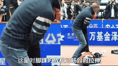 乒乓国手赛前热身练球,运动员赛前训练注意哪些