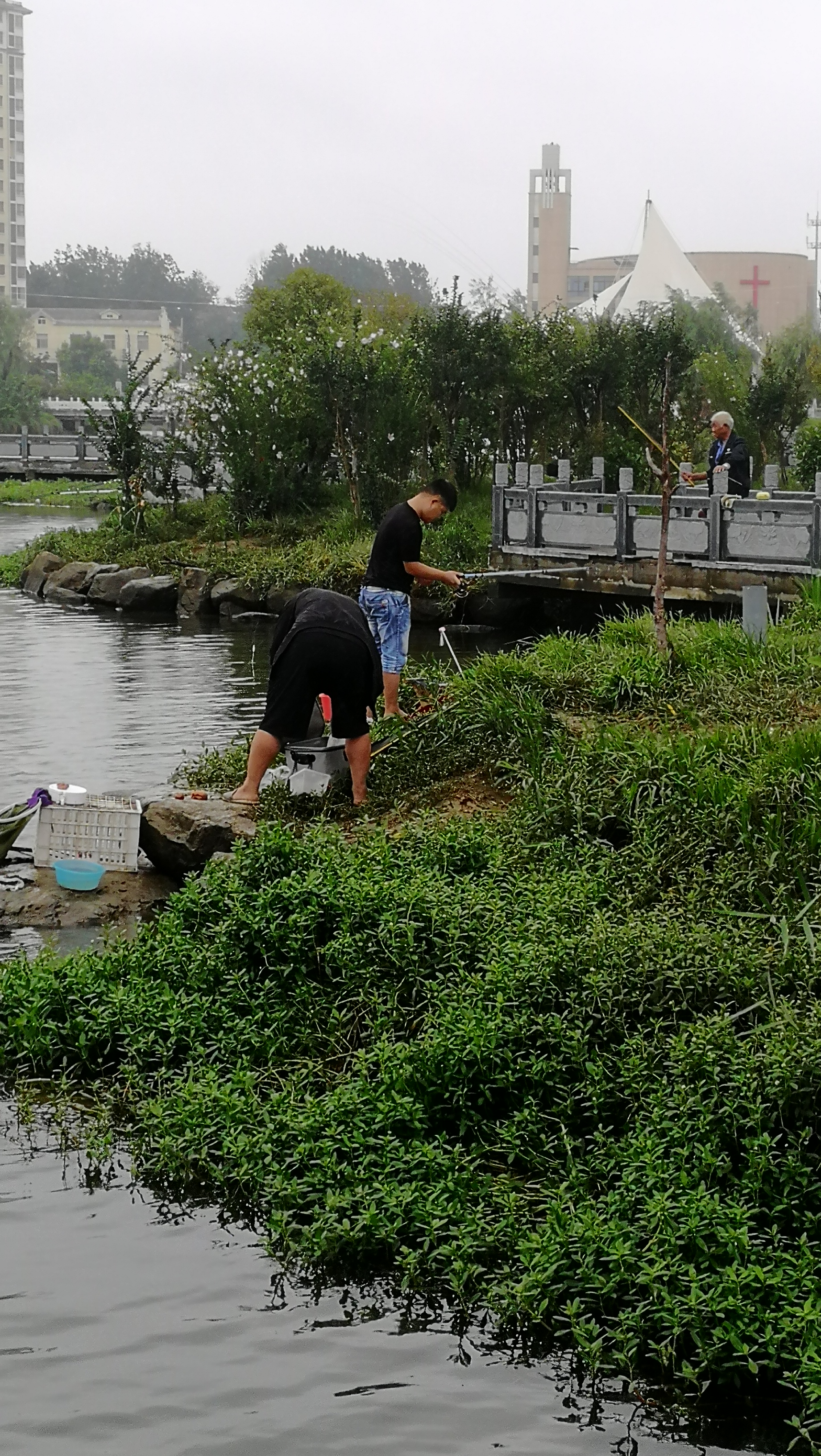抓住鱼的技巧,抓鲫鱼最好的口诀