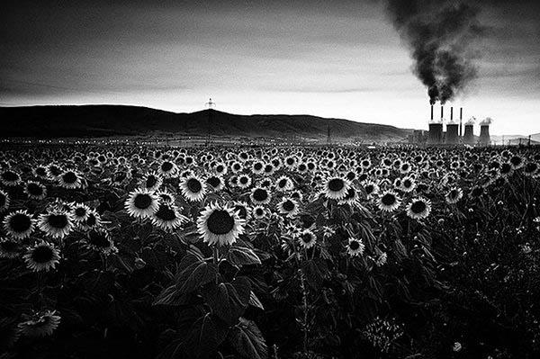 雾霾天拍摄教程,防治空气污染的方法