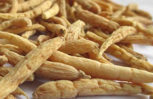 中药人参红参西洋参*党**参太子参丹参沙参苦参区别！一文收藏