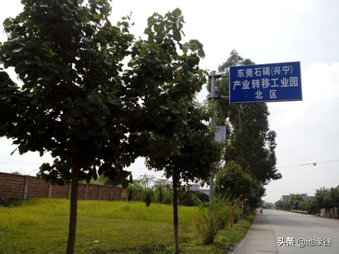 山东和江苏为什么经济差距那么大,山东和广东的经济差距