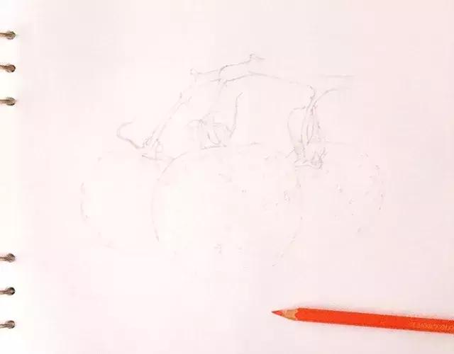 儿童彩铅画番茄,彩铅画写生番茄