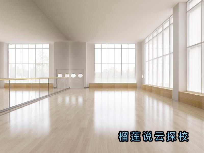 榴莲说云探校上海,榴莲说云探校怎么样