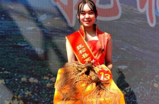 抚松万良人参交易市场价格,抚松县万良镇长白山人参市场