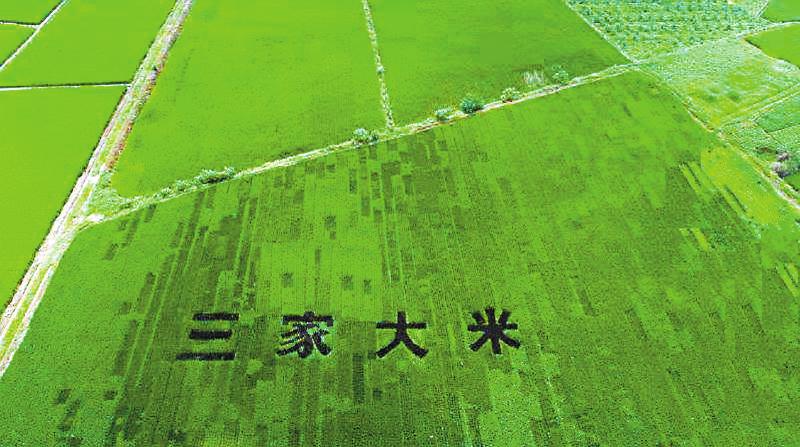 遂宁市安居区建设目标,遂宁市安居区三家镇发展规划