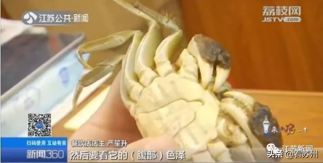 阳澄湖大闸蟹中秋节吃得到吗,中秋节阳澄湖大闸蟹什么价格