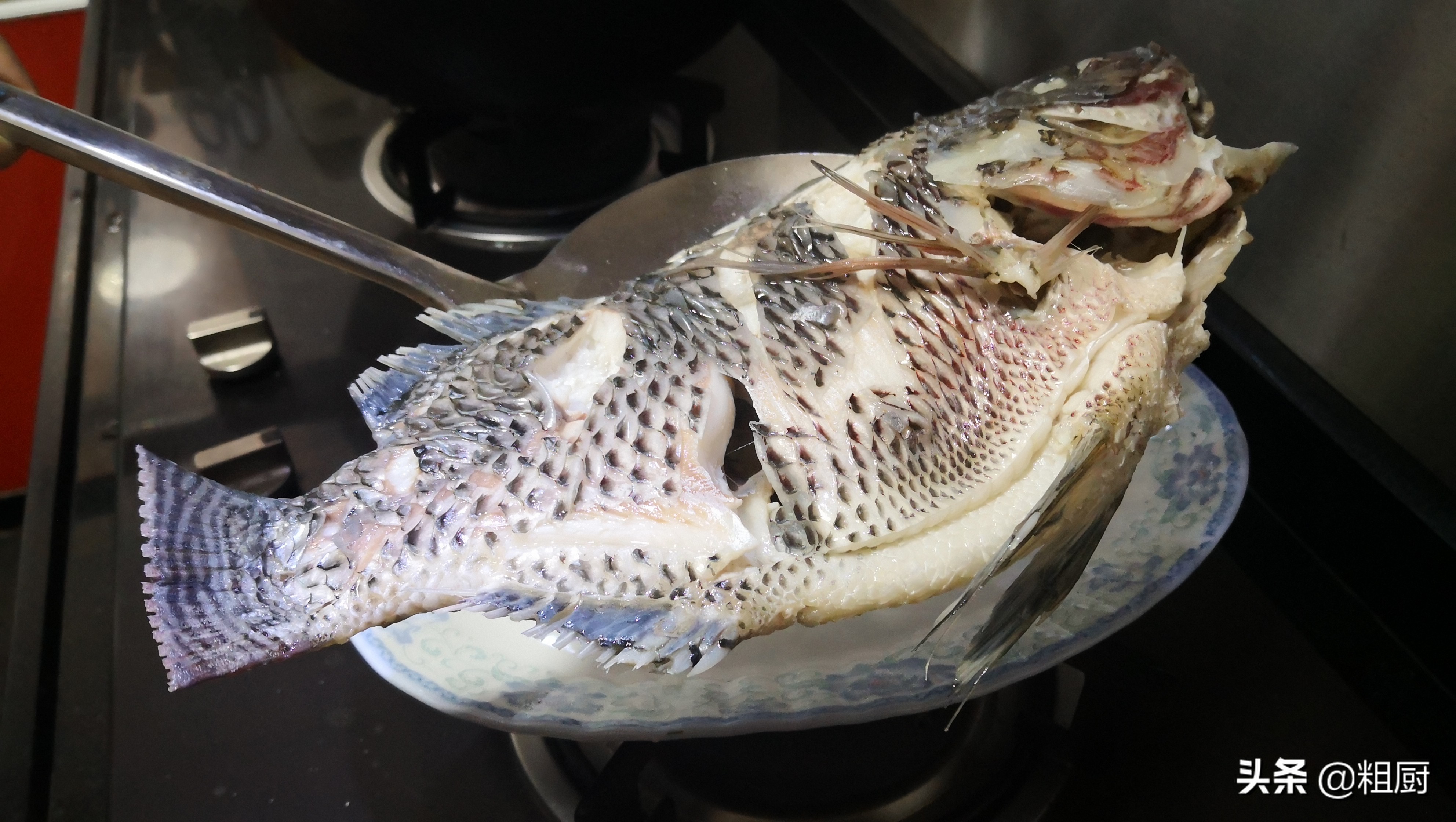 没有油的水煮鱼你吃过吗,不辣的水煮鱼好吃视频