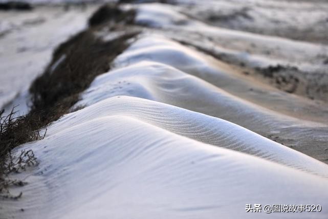 大海和沙漠之间的地方,大海和沙漠相接的地方