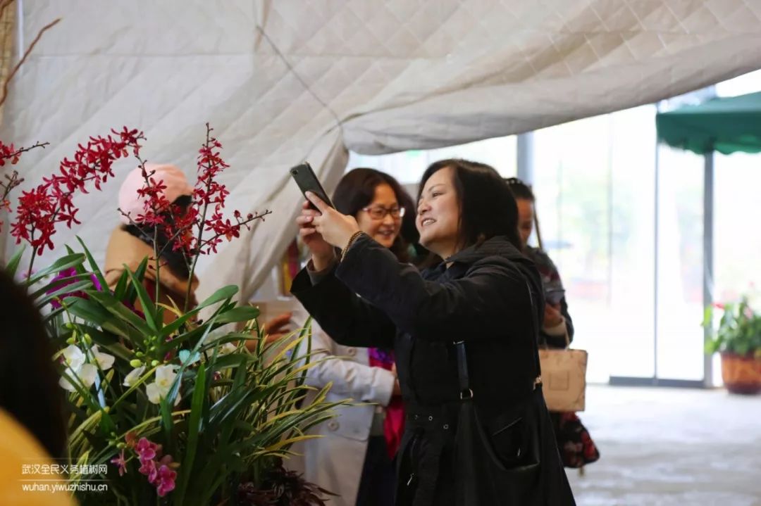 园艺沙龙|前方高能！一大波人相约逛花市，究竟淘了些啥？