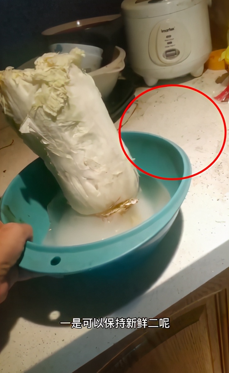 阿宝原型视频完整版,阿宝造型视频大全