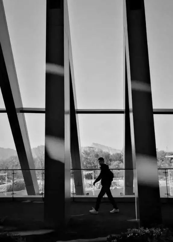 手机拍出的大片摄影作品,手机拍作品好看又高清