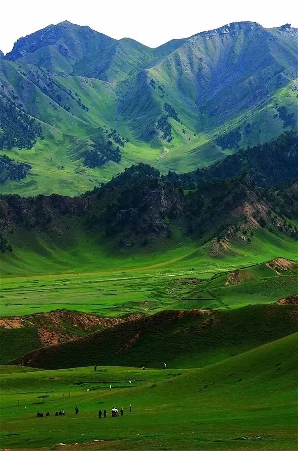 这条最“咸”最彩的公路，治好了我*藏西**的病，解掉了我*疆新**的毒