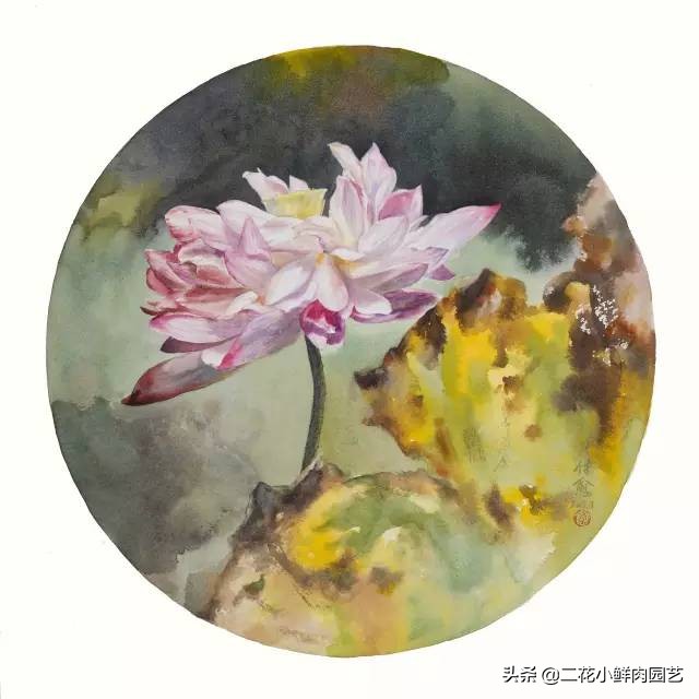 100种花卉绘画,100多张花卉线描手稿素材赶快收藏
