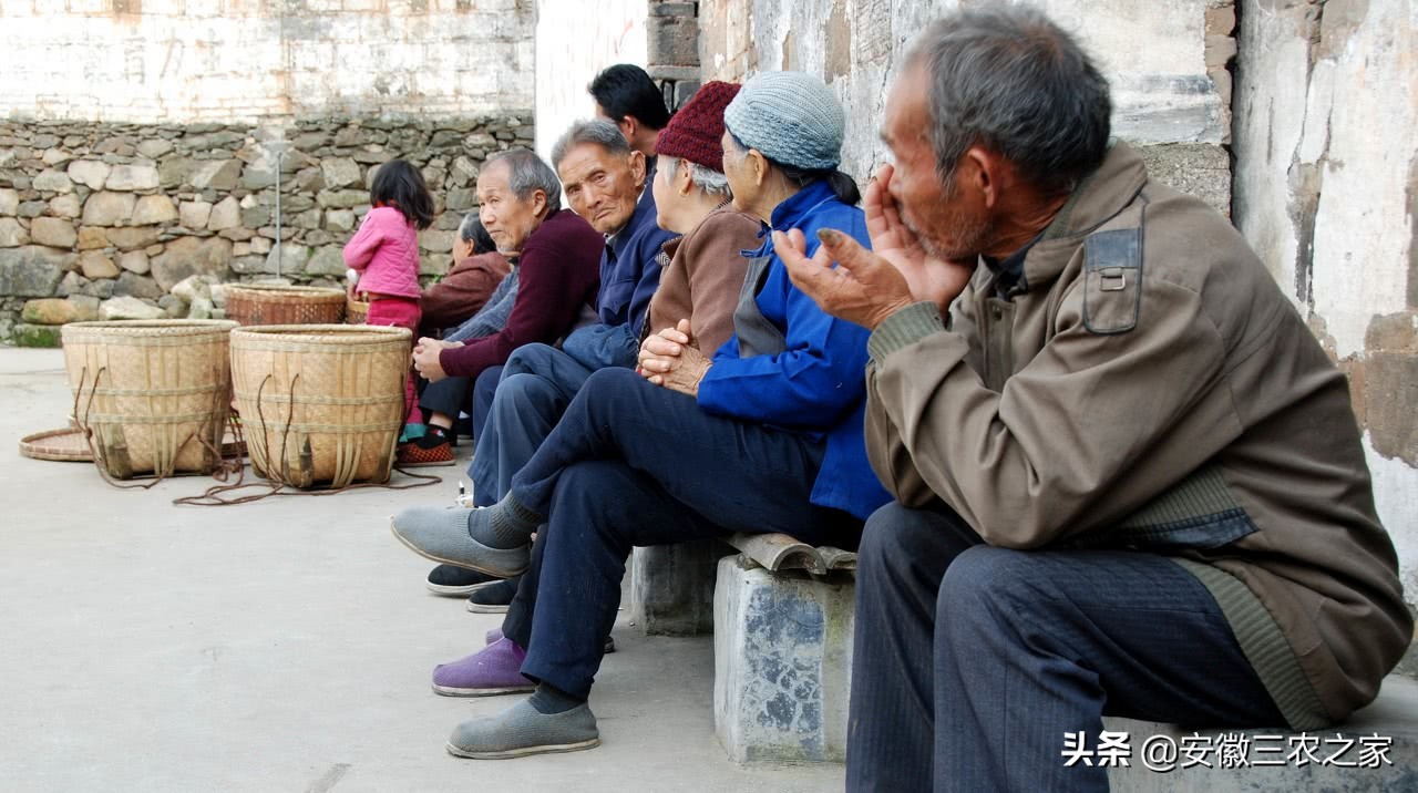 用兔子赚钱,农村创业致富好项目养殖兔子