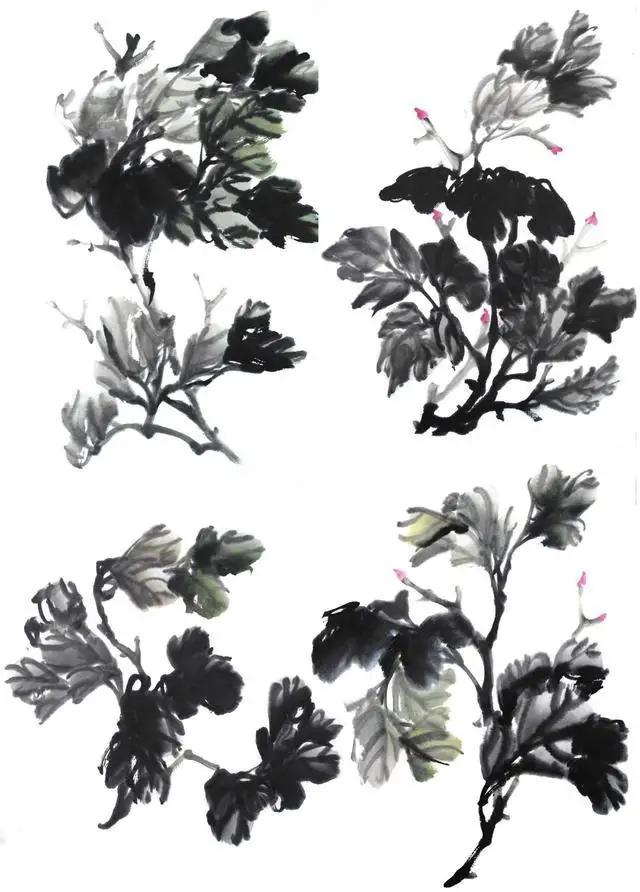 学习写意牡丹画的方法,学习写意牡丹画的步骤