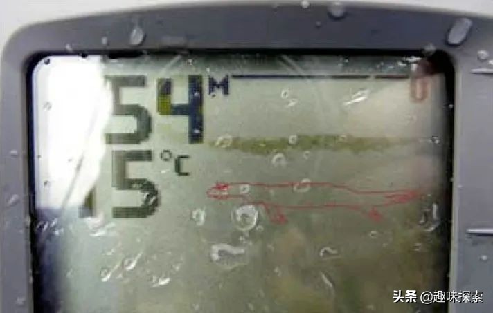 再次发现尼斯湖水怪,拉加尔湖巨大水怪