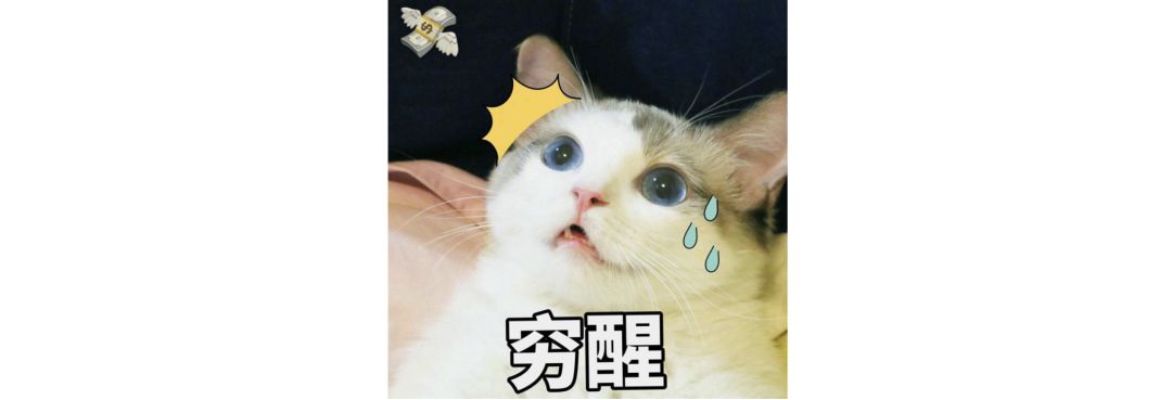 比余额宝收益高的基金,余额宝小额投资理财