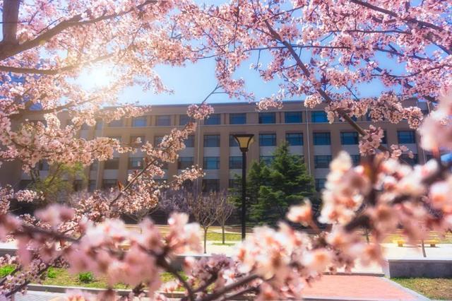 突然就想去旅游了,忽然间就想去厦门了