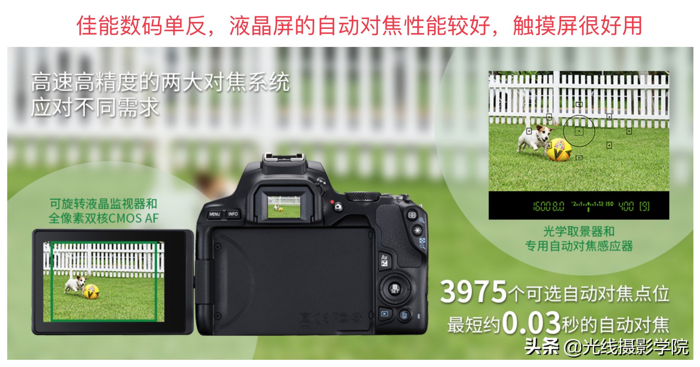 尼康相机行业衰退原因,尼康没落的原因