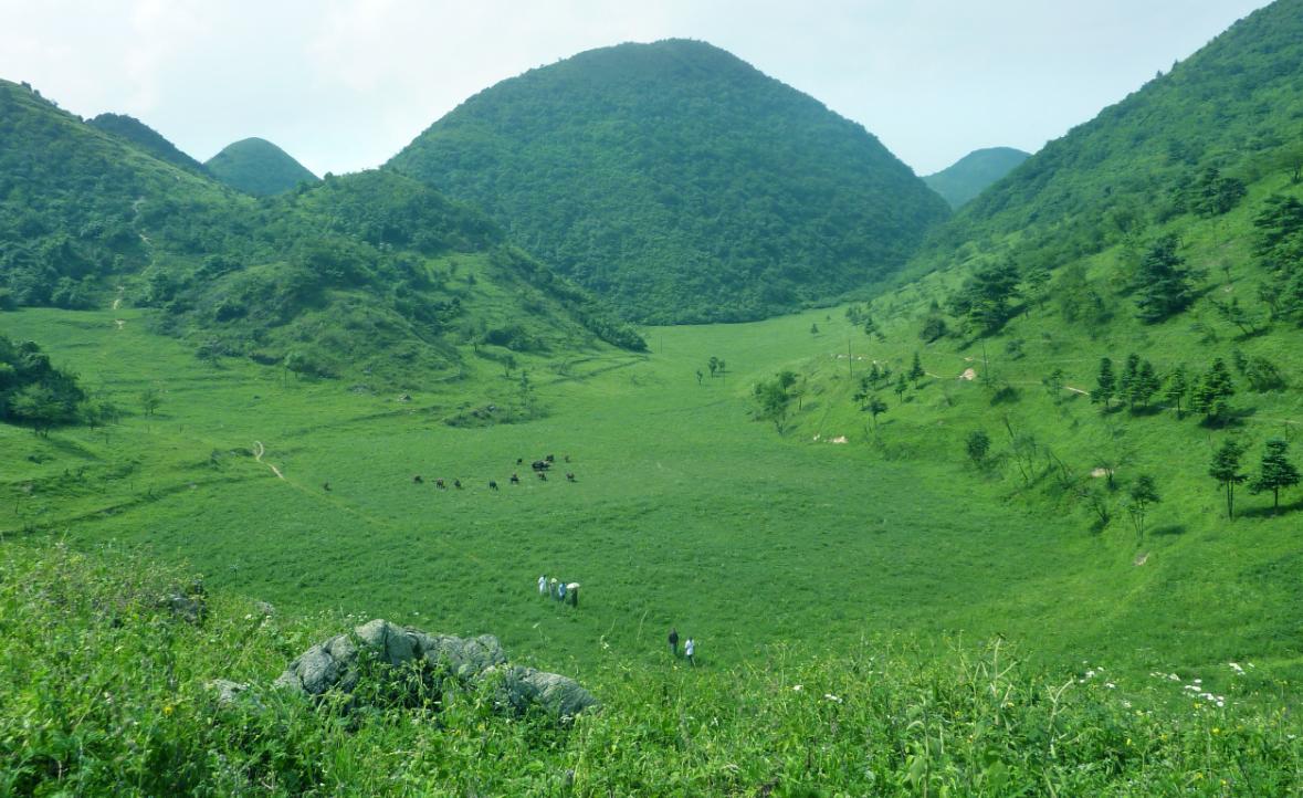 相约清凉避暑2日游！自驾醉美云雾仙境，贵州“香格里拉”