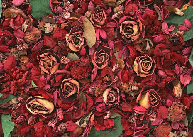 像永生花一样永不凋谢,永生花需要什么方法才能永不凋谢