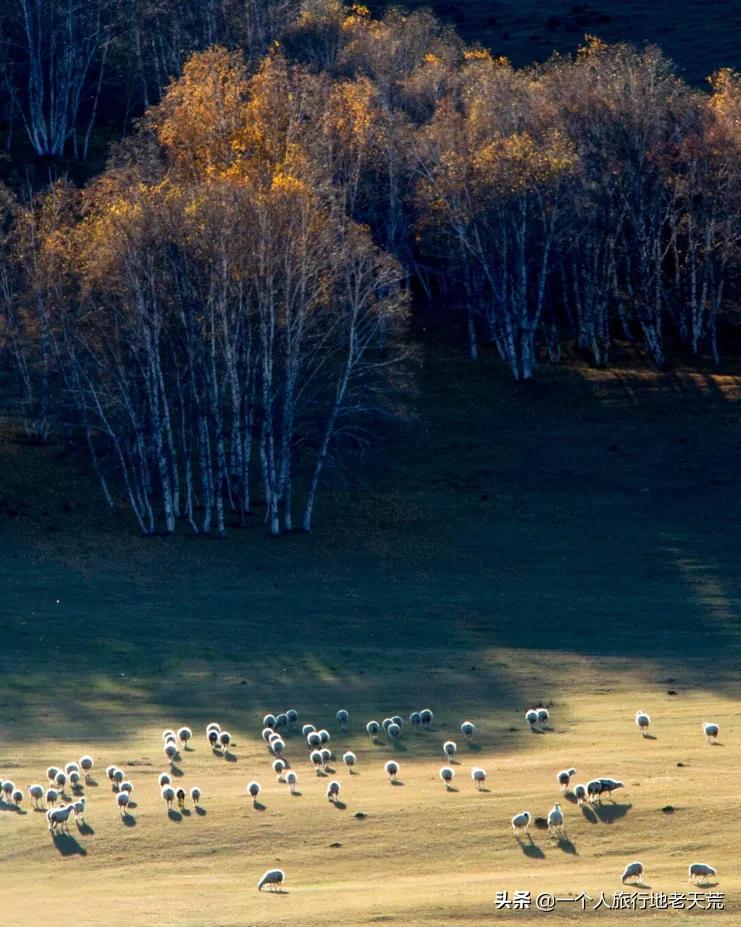 国庆带宝宝去玩的宝藏地方,贵阳国庆周边宝藏地