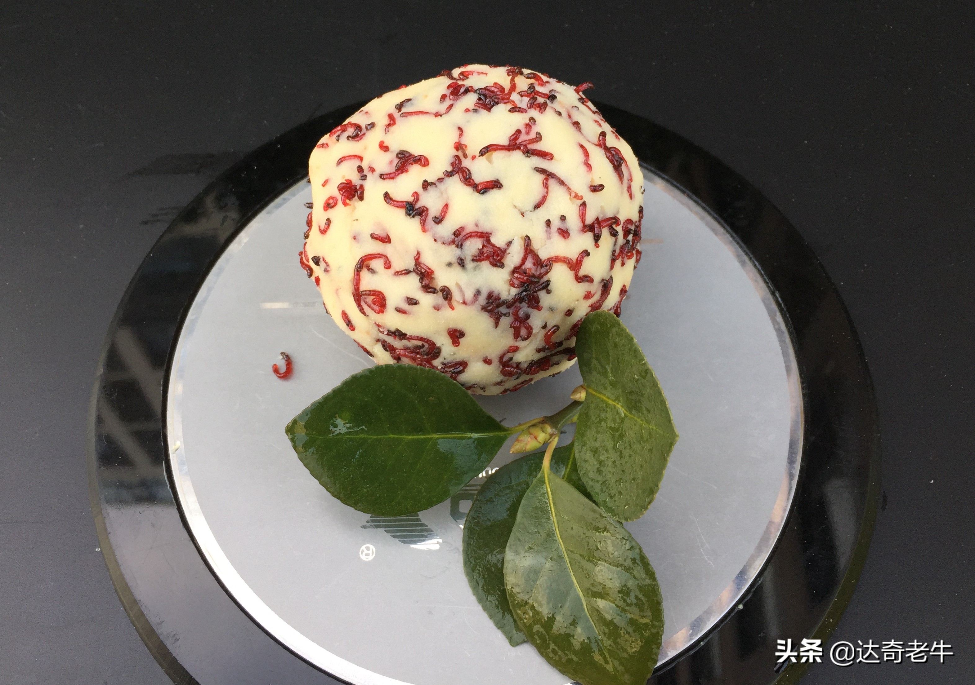 红虫钓鱼究竟有危害不,红虫钓鱼有什么危害呢